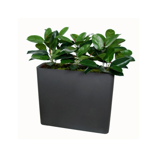 Planta semi-artificiala Ila, Ficus Elastica Fence Green - 1 m / 110 cm